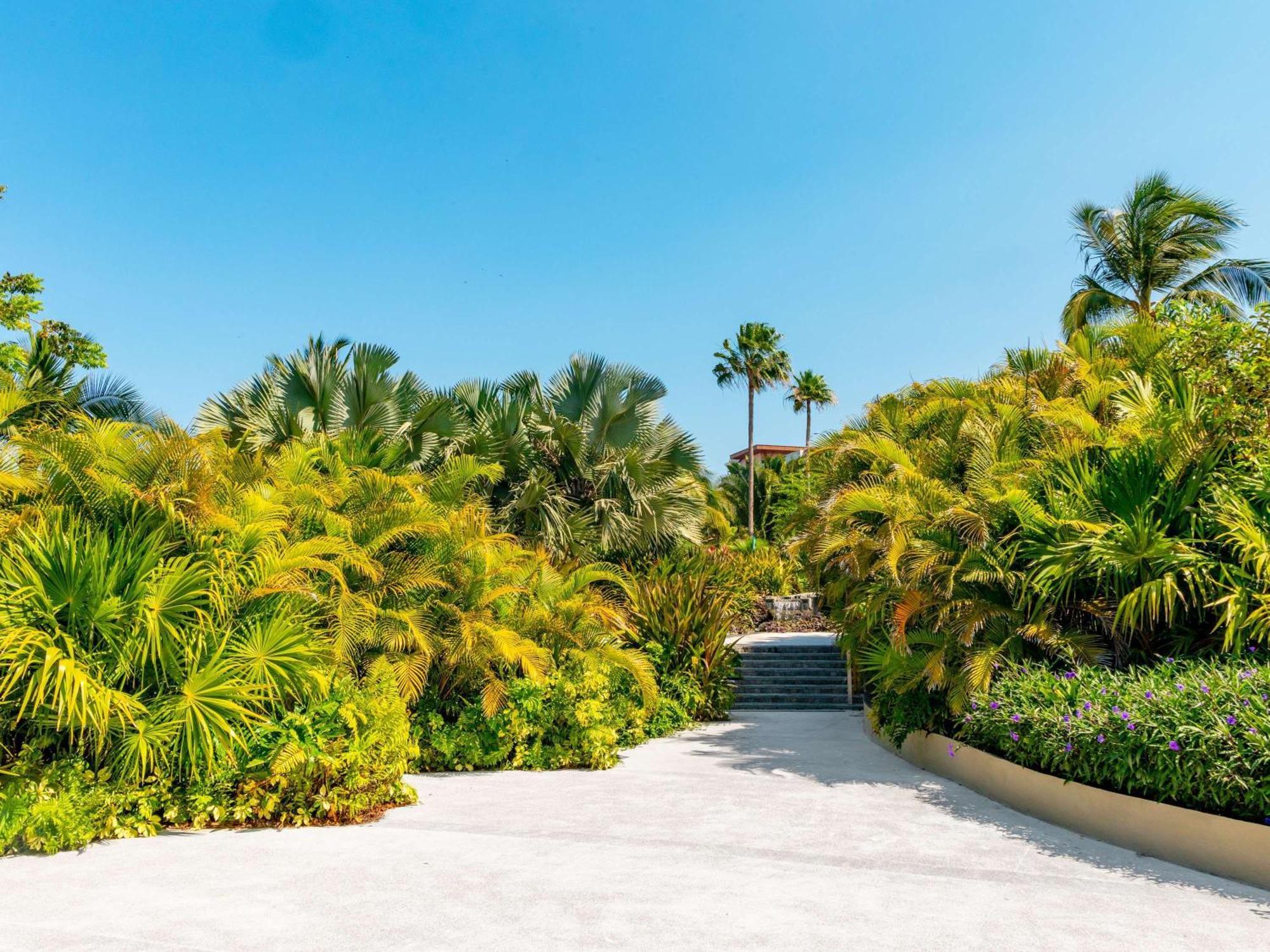 פונטה מיטה Armony Marival Resort & Spa Punta De Mita - Mgallery Collection (Adults Only) מראה חיצוני תמונה